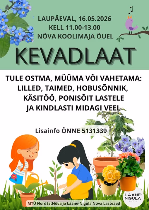 Nõva kevadlaat